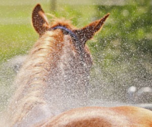 GPM - Kauf­untersuchung­svertrag Block
