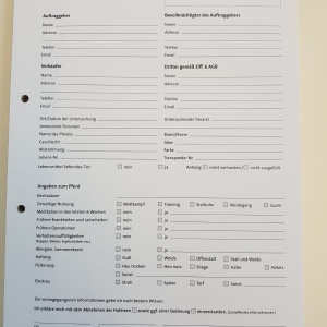 7bb94739-64e9-438d-8386-52055098eb17