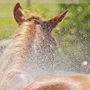 GPM - Kauf­untersuchung­svertrag Block